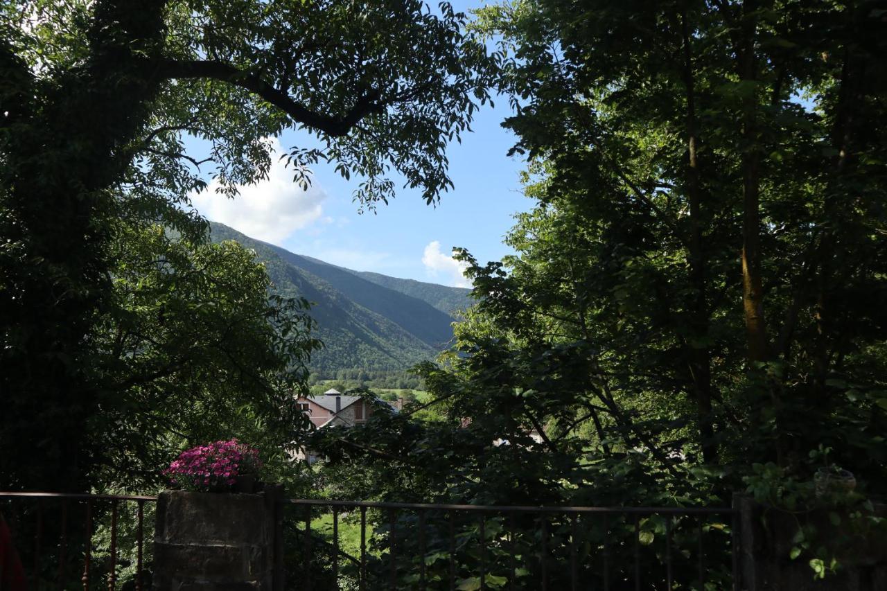 Sarvisé Casa Maria Berna 빌라 외부 사진