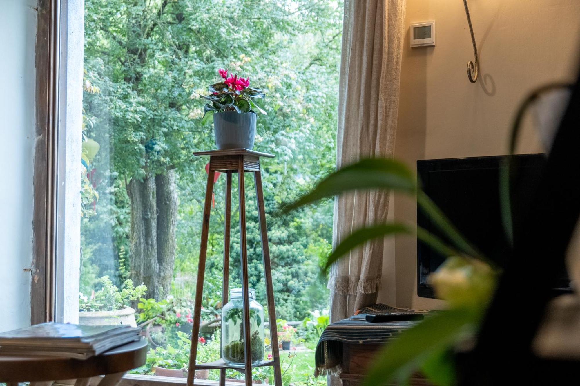 Sarvisé Casa Maria Berna 빌라 외부 사진
